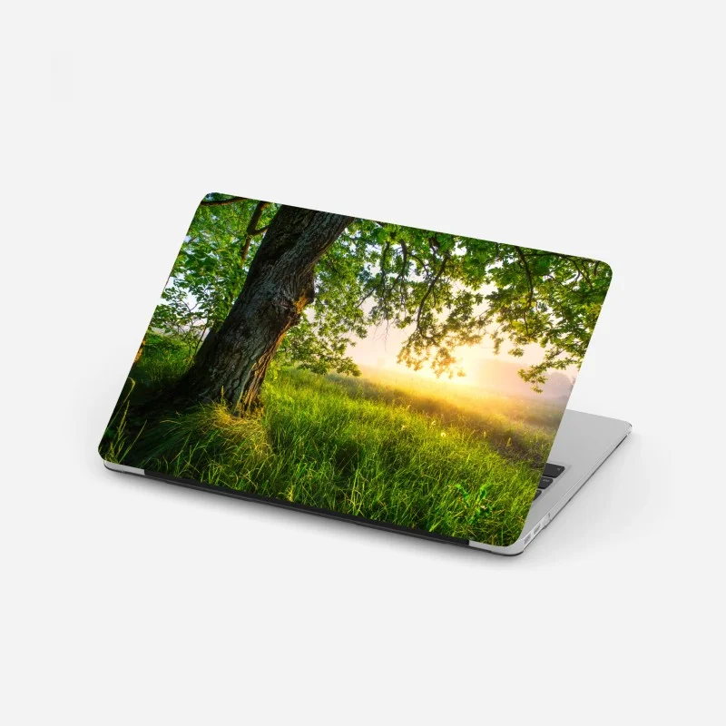 Prairies – Wallnifity®