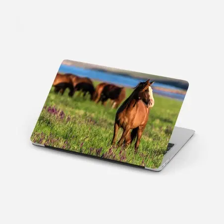 Sticker pour ordinateur portable cheval brun dans une prairie fleurie au soleil – Wallnifity®