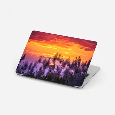 Sticker pour ordinateur portable crépuscule doré derrière les pampas – Wallnifity®