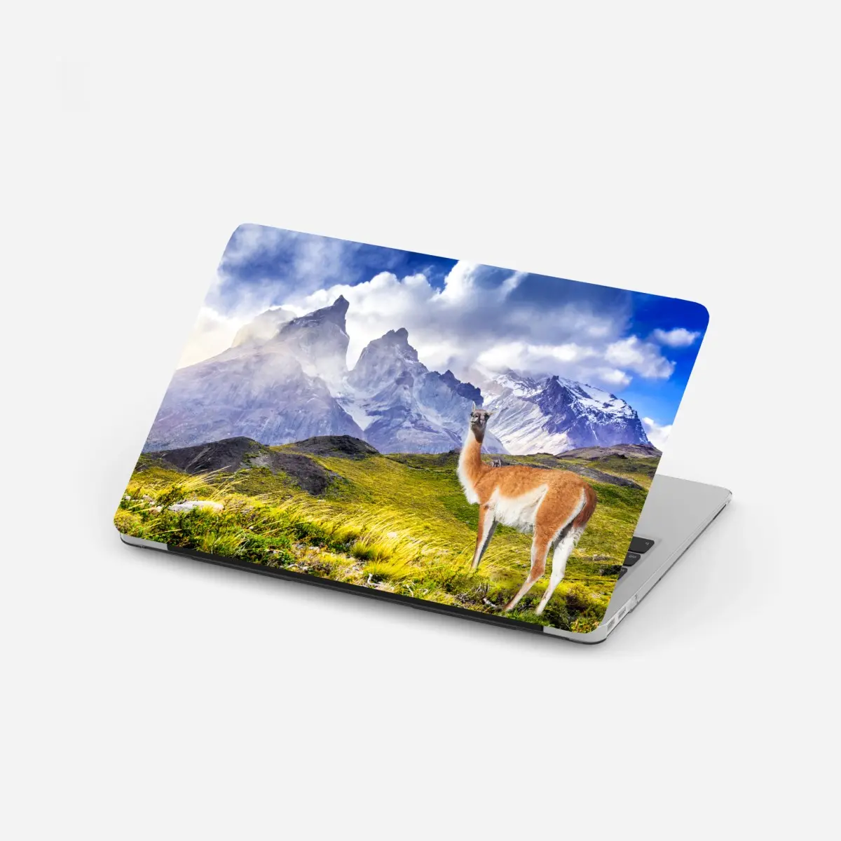 Sticker pour ordinateur portable paysage sauvage de Torres del Paine – Wallnifity®