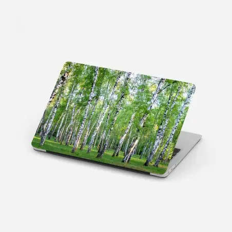 Sticker pour ordinateur portable forêt de bouleaux en été – Wallnifity®