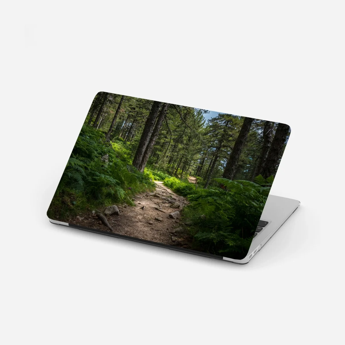 Sticker pour ordinateur portable chemin forestier verdoyant – Wallnifity® Sticker pour ordinateur portable chemin forestier verdoyant – Wallnifity®
