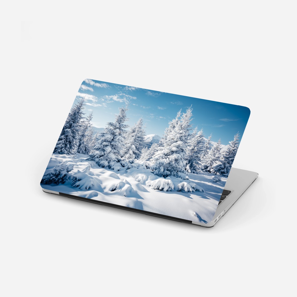 Sticker pour ordinateur portable forêt enneigée des Carpates – Wallnifity®