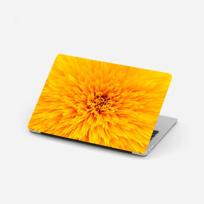 Stickers pour ordinateur portable – Wallnifity®