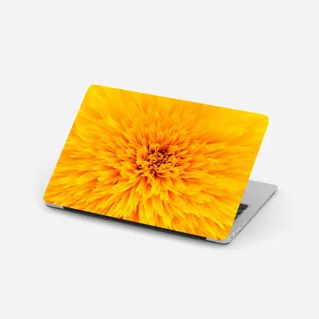 Sticker pour ordinateur portable éclat de tournesol en macro – Wallnifity®
