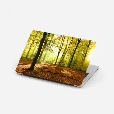 Sticker pour ordinateur portable forêt d'automne baignée de lumière – Wallnifity®