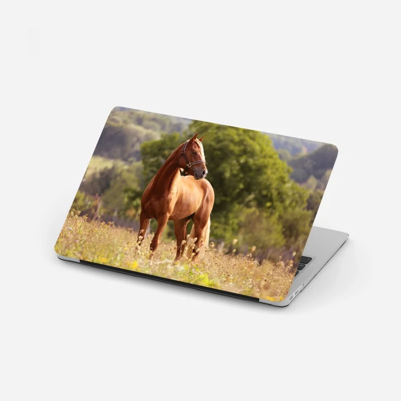 Chevaux – Wallnifity®