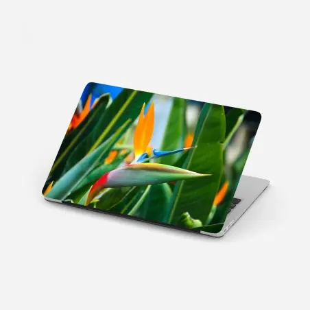 Sticker pour ordinateur portable oiseau de paradis tropical en gros plan – Wallnifity®