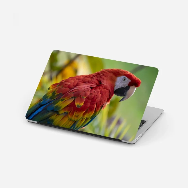 Stickers pour ordinateur portable – Wallnifity®
