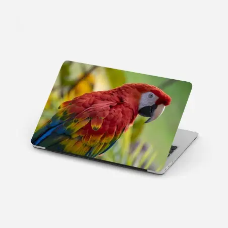 Sticker pour ordinateur portable plumage éclatant d'un perroquet tropical – Wallnifity®