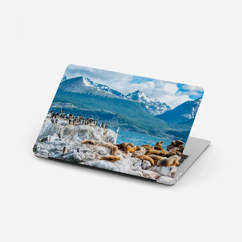 Autocollants – Wallnifity®