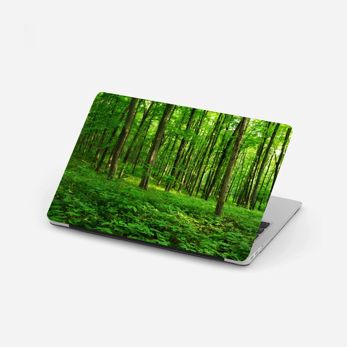 Sticker pour ordinateur portable forêt verdoyante au printemps – Wallnifity® Sticker pour ordinateur portable forêt verdoyante au printemps – Wallnifity®
