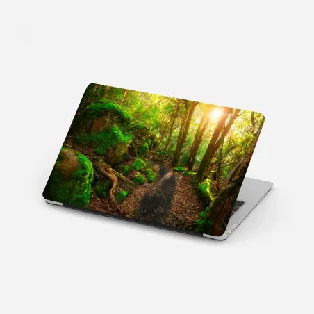 Sticker pour ordinateur portable chemin verdoyant dans la forêt jurassique de Tasmanie – Wallnifity®