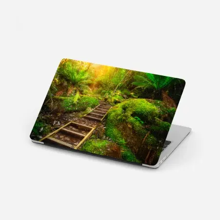 Sticker pour ordinateur portable sentier luxuriant dans la forêt jurassique de Tasmanie – Wallnifity®