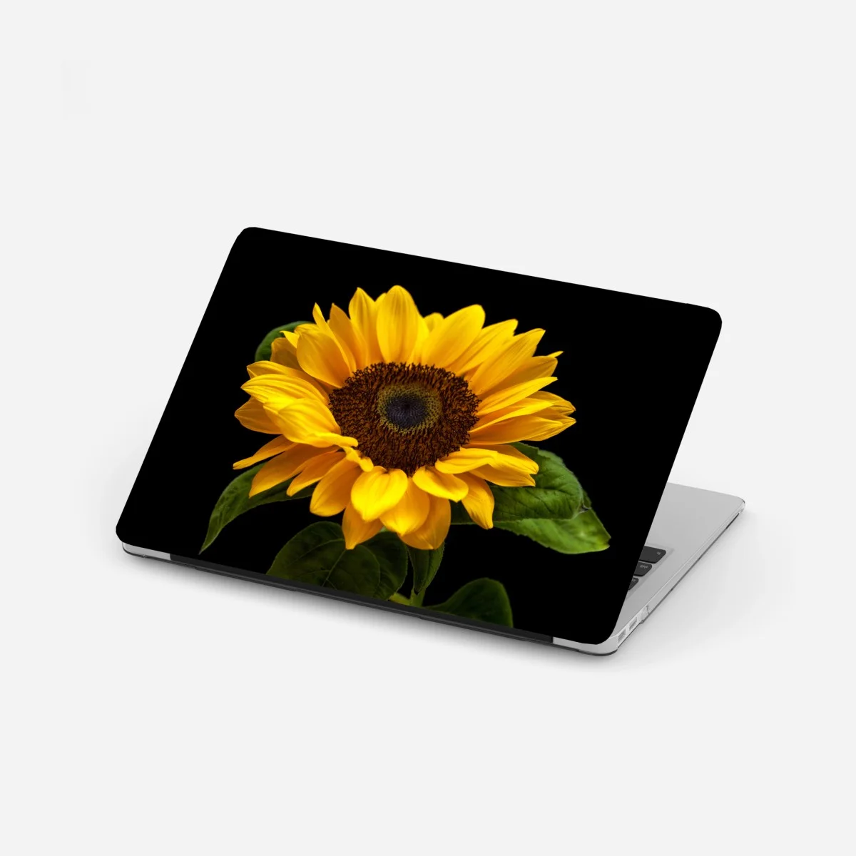 Sticker pour ordinateur portable éclat de tournesol sur fond noir – Wallnifity® Sticker pour ordinateur portable éclat de tournesol sur fond noir – Wallnifity®
