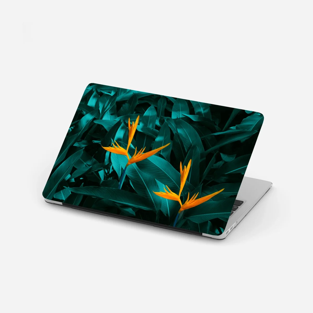 Sticker pour ordinateur portable oiseaux de paradis sur feuillage turquoise – Wallnifity® Sticker pour ordinateur portable oiseaux de paradis sur feuillage turquoise – Wallnifity®