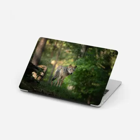 Sticker pour ordinateur portable portrait de loup dans une clairière boisée – Wallnifity®