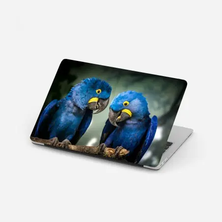 Sticker pour ordinateur portable duo d'aras hyacinthe au plumage bleu – Wallnifity®