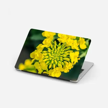 Sticker pour ordinateur portable fleur de colza en gros plan – Wallnifity®