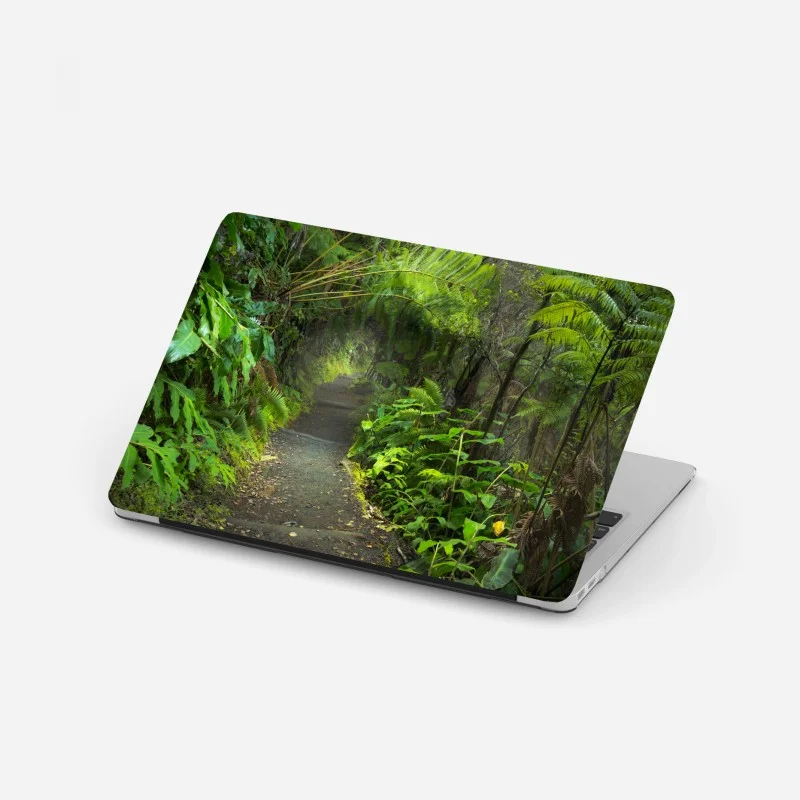 Forêts – Wallnifity®