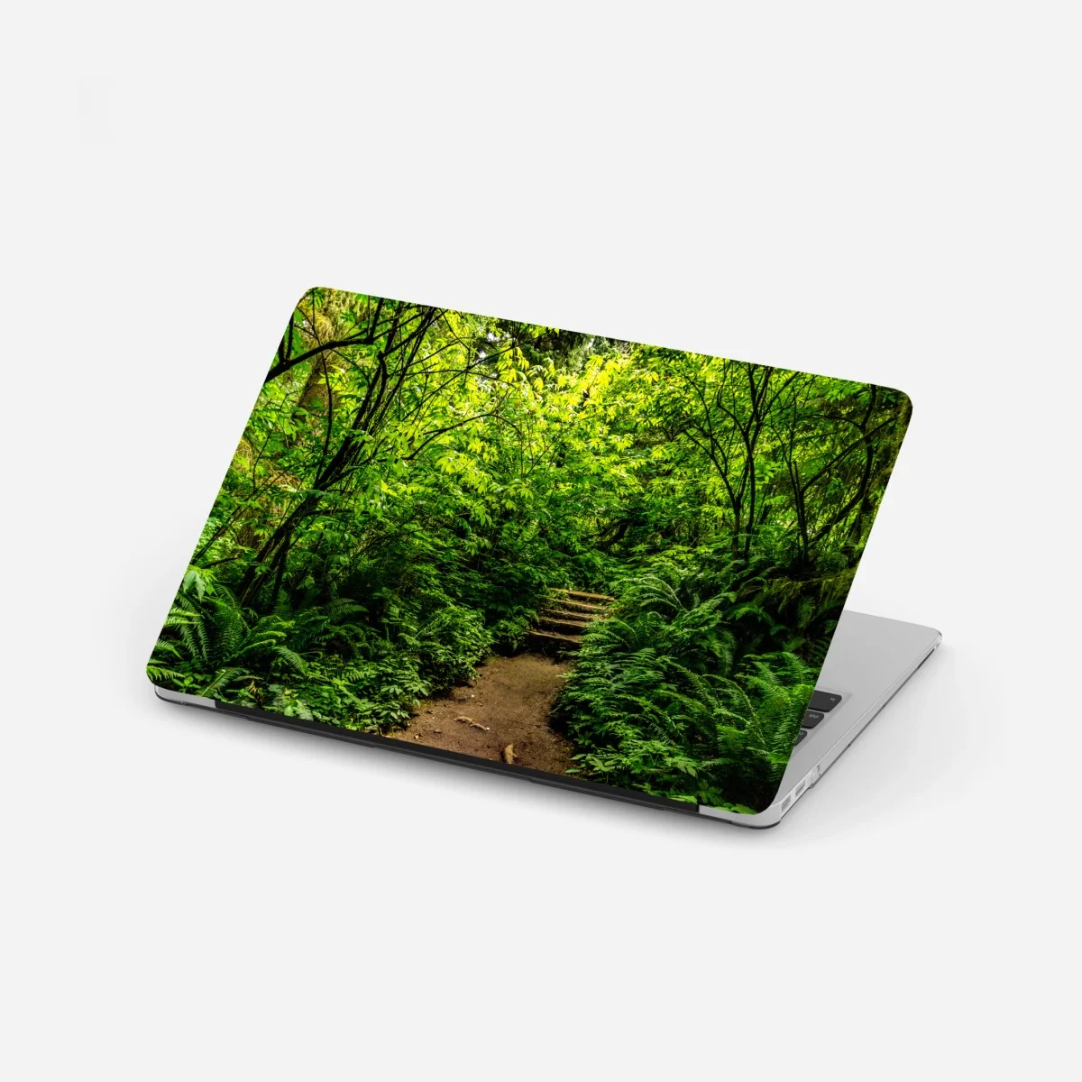 Sticker pour ordinateur portable promenade au cœur d'un sous-bois verdoyant – Wallnifity® Sticker pour ordinateur portable promenade au cœur d'un sous-bois verdoyant – Wallnifity®