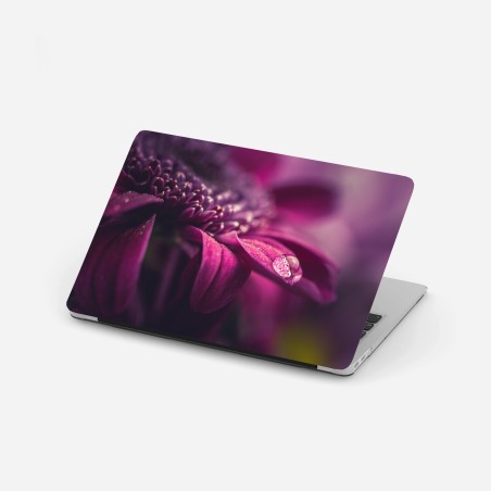 Sticker pour ordinateur portable goutte de rosée sur pétale pourpre – Wallnifity®