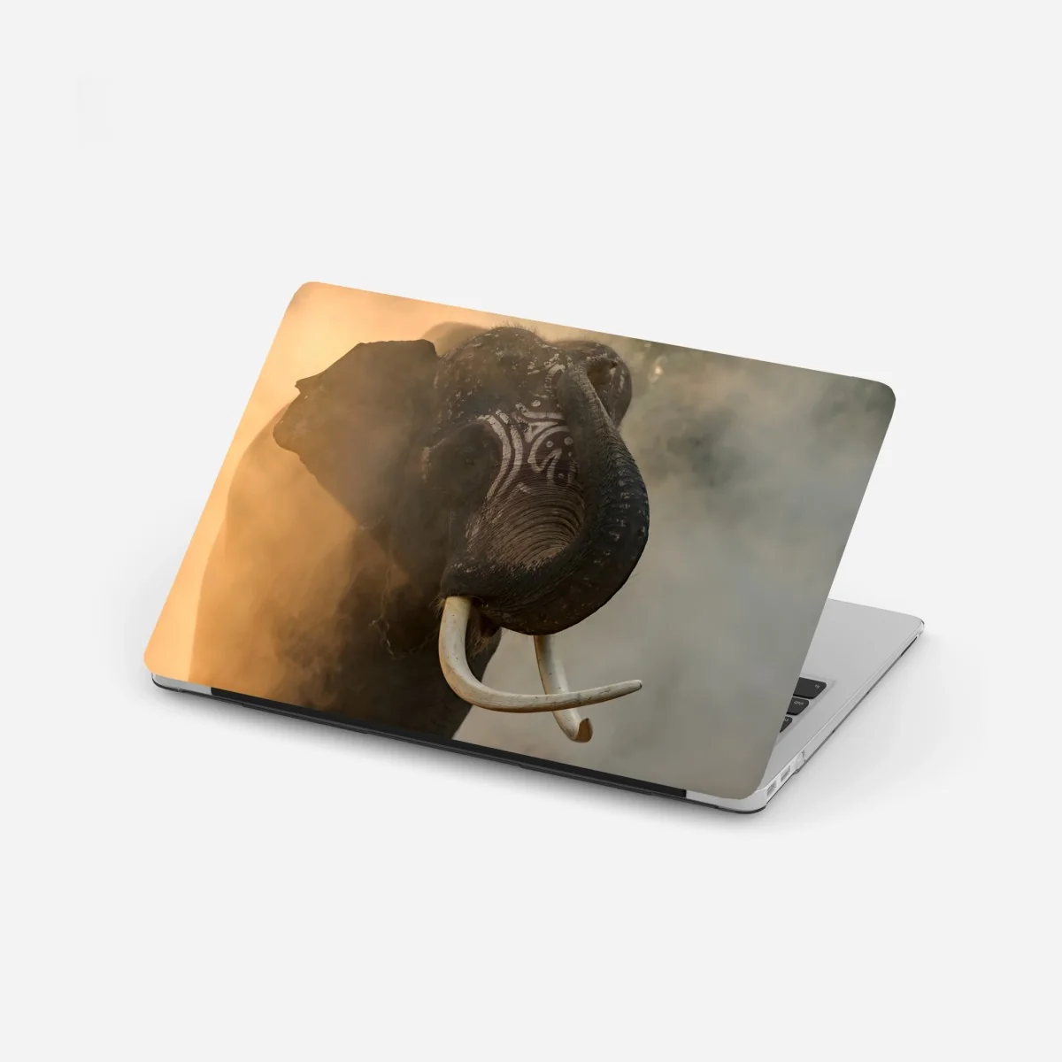 Sticker pour ordinateur portable éléphant de Surin aux défenses majestueuses – Wallnifity® Sticker pour ordinateur portable éléphant de Surin aux défenses majestueuses – Wallnifity®