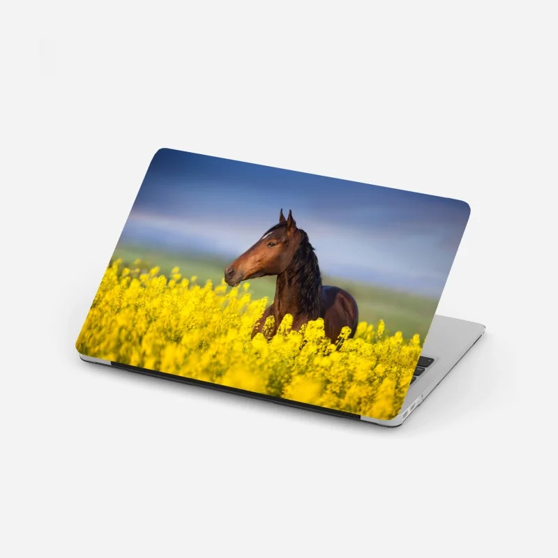 Chevaux – Wallnifity®