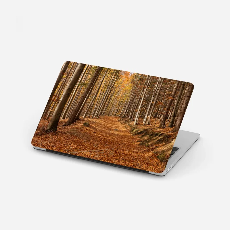 Forêts – Wallnifity®