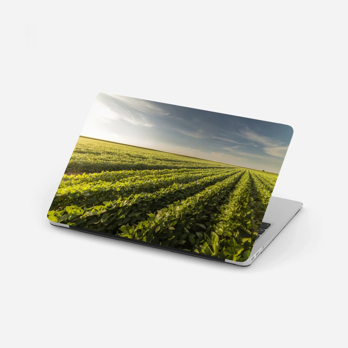 Sticker pour ordinateur portable champ de soja au coucher du soleil – Wallnifity® Sticker pour ordinateur portable champ de soja au coucher du soleil – Wallnifity®