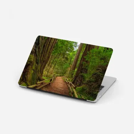 Sticker pour ordinateur portable promenade sous les séquoias centenaires – Wallnifity®