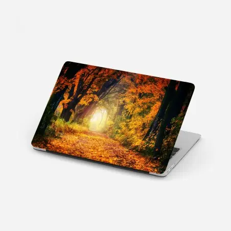 Sticker pour ordinateur portable allée d'automne baignée de lumière – Wallnifity®