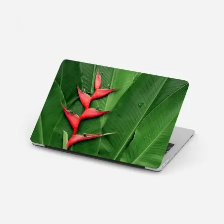 Sticker pour ordinateur portable héliconia rouge sur feuillage tropical – Wallnifity®