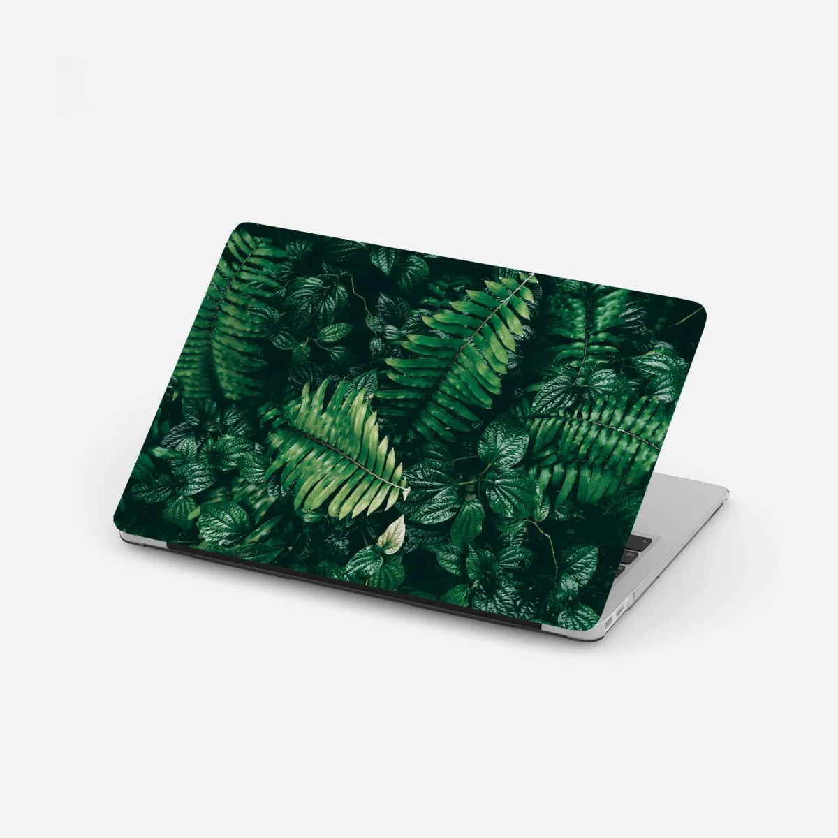 Sticker pour ordinateur portable mur de verdure tropicale sombre – Wallnifity® Sticker pour ordinateur portable mur de verdure tropicale sombre – Wallnifity®