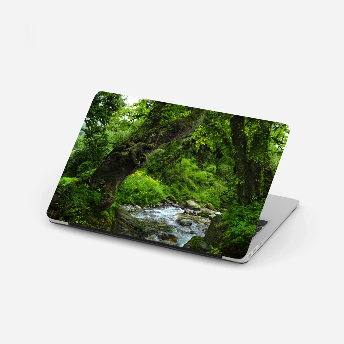 Sticker pour ordinateur portable arc naturel verdoyant au bord du ruisseau – Wallnifity® Sticker pour ordinateur portable arc naturel verdoyant au bord du ruisseau – Wallnifity®