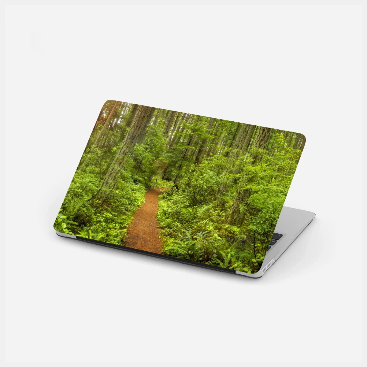 Sticker pour ordinateur portable sentier forestier verdoyant et paisible – Wallnifity® Sticker pour ordinateur portable sentier forestier verdoyant et paisible – Wallnifity®