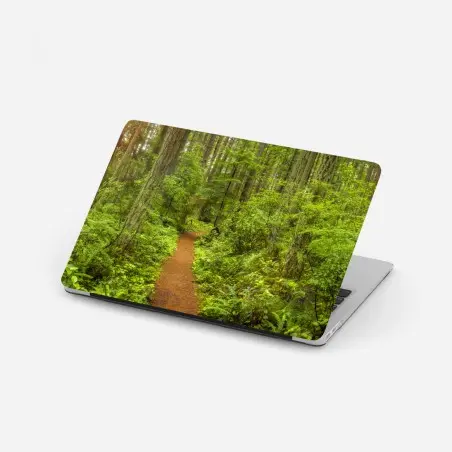 Sticker pour ordinateur portable sentier forestier verdoyant et paisible – Wallnifity®