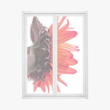 Sticker pour vitres et fenêtres éclat orange d'une fleur en gros plan – Wallnifity®