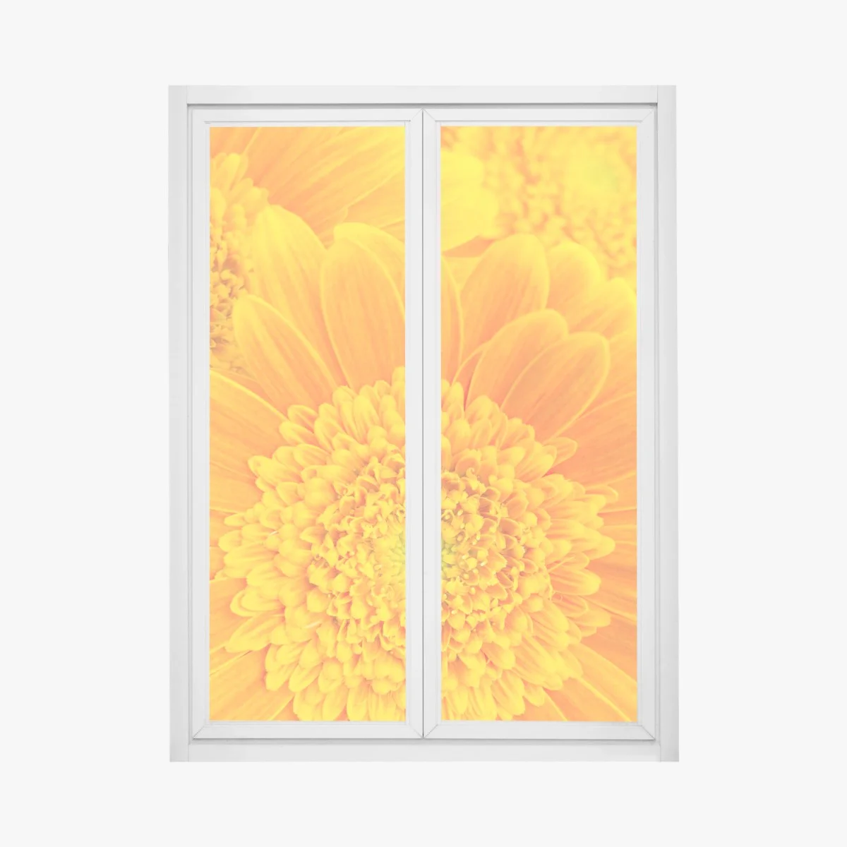 Sticker pour vitres et fenêtres éclat solaire gerbera en gros plan – Wallnifity® Sticker pour vitres et fenêtres éclat solaire gerbera en gros plan – Wallnifity®