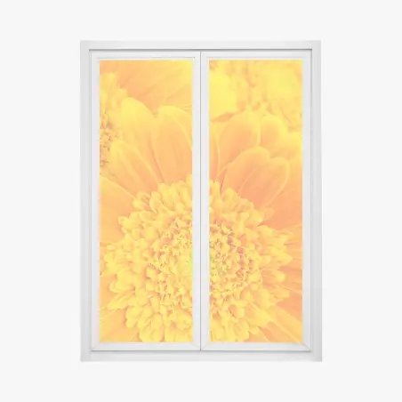 Sticker pour vitres et fenêtres éclat solaire gerbera en gros plan – Wallnifity®
