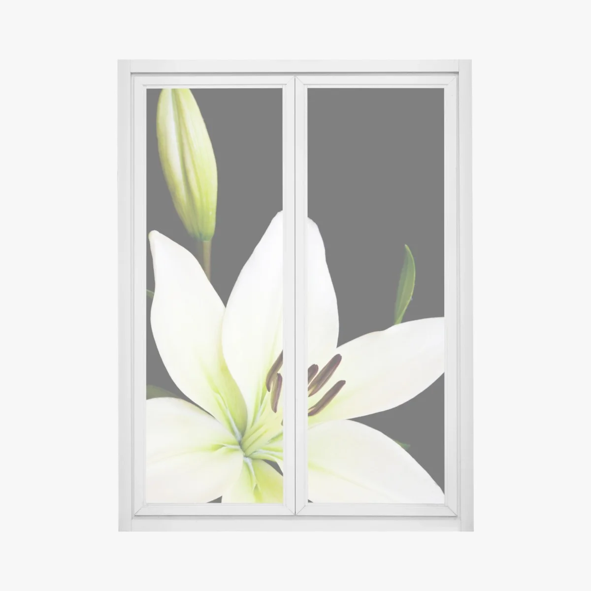 Sticker pour vitres et fenêtres lys blanc élégant sur fond noir – Wallnifity® Sticker pour vitres et fenêtres lys blanc élégant sur fond noir – Wallnifity®