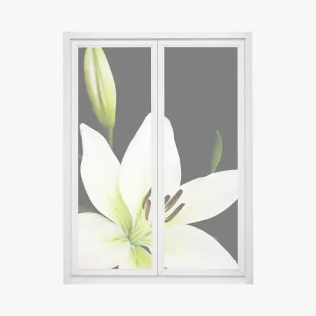 Sticker pour vitres et fenêtres lys blanc élégant sur fond noir – Wallnifity®