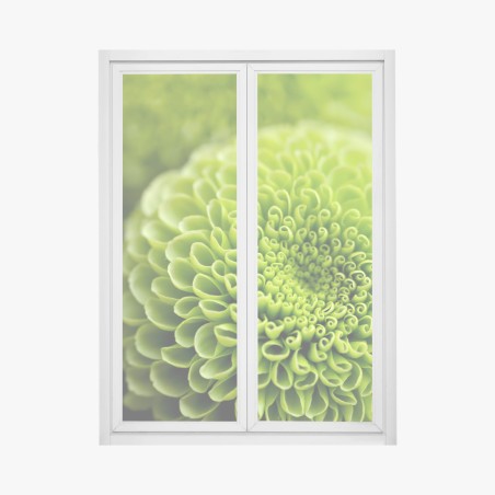 Sticker pour vitres et fenêtres spirale florale verte en gros plan – Wallnifity®