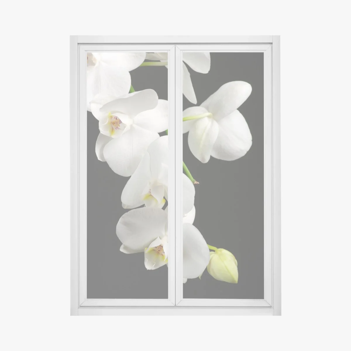 Sticker pour vitres et fenêtres orchidée blanche minimaliste sur fond noir – Wallnifity® Sticker pour vitres et fenêtres orchidée blanche minimaliste sur fond noir – Wallnifity®