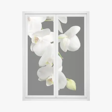 Sticker pour vitres et fenêtres orchidée blanche minimaliste sur fond noir – Wallnifity®