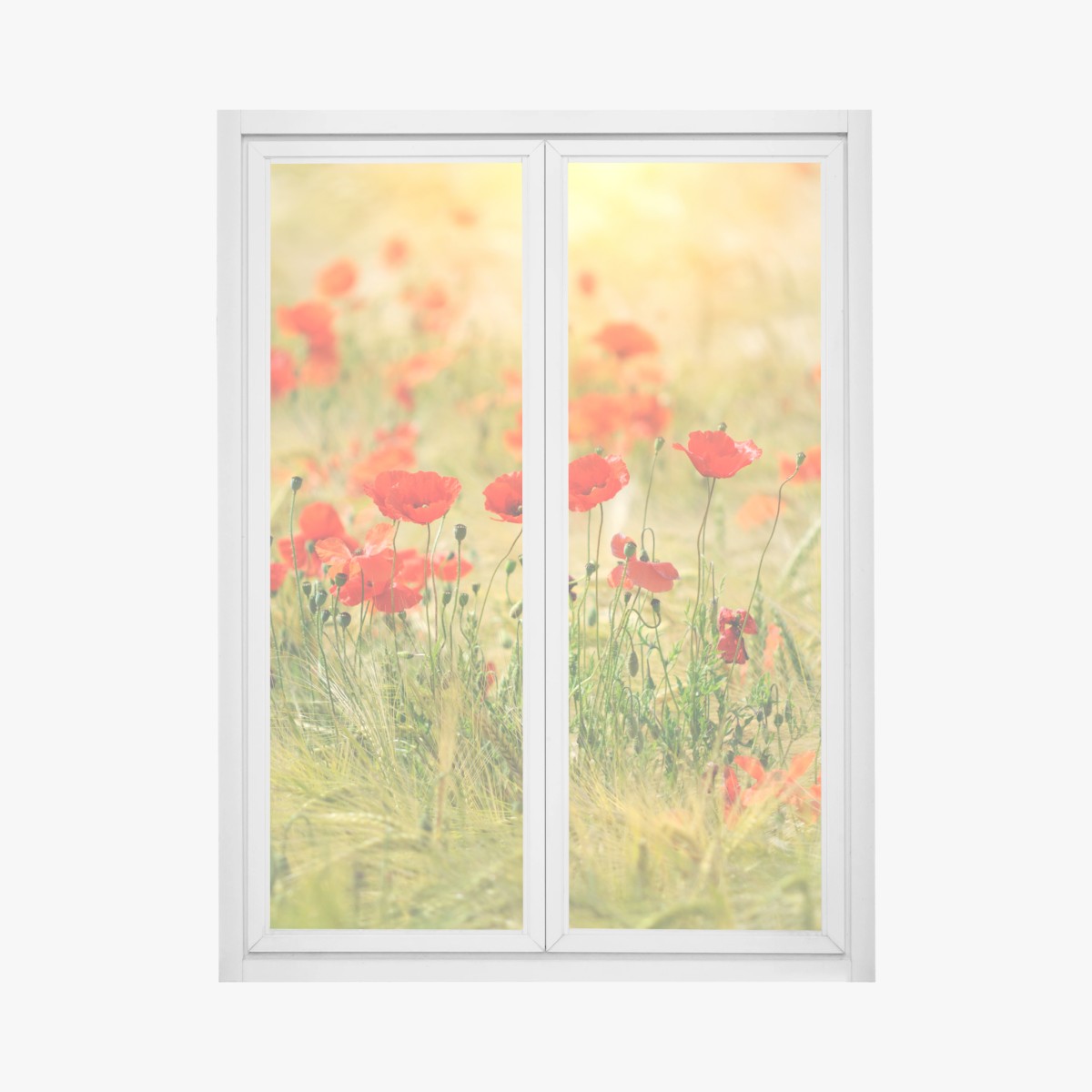 Sticker pour vitres et fenêtres champ de coquelicots au soleil doré – Wallnifity®