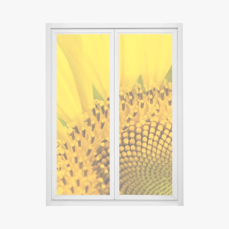 Stickers pour vitres et fenêtres – Wallnifity®