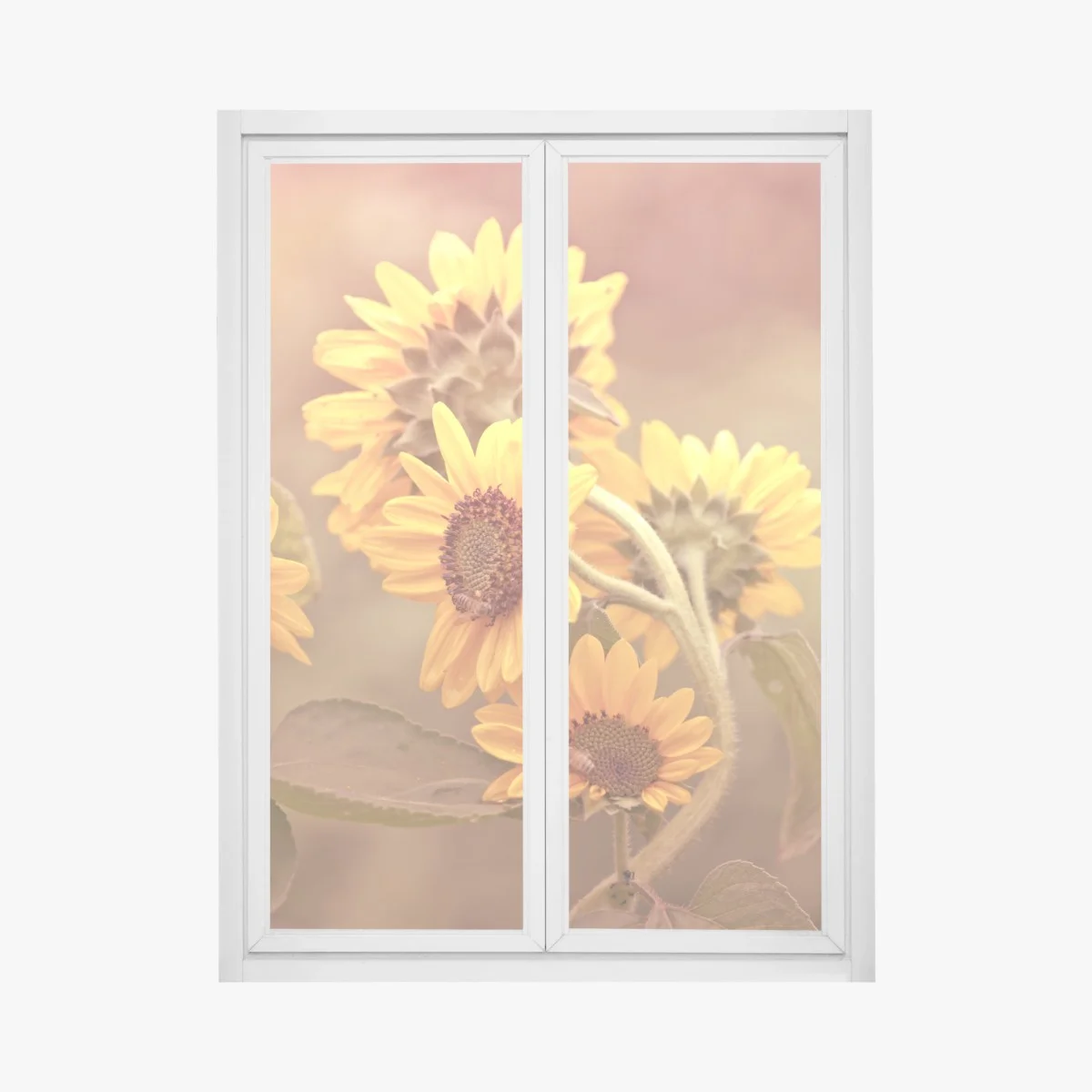 Sticker pour vitres et fenêtres tournesols vintage ensoleillés – Wallnifity® Sticker pour vitres et fenêtres tournesols vintage ensoleillés – Wallnifity®