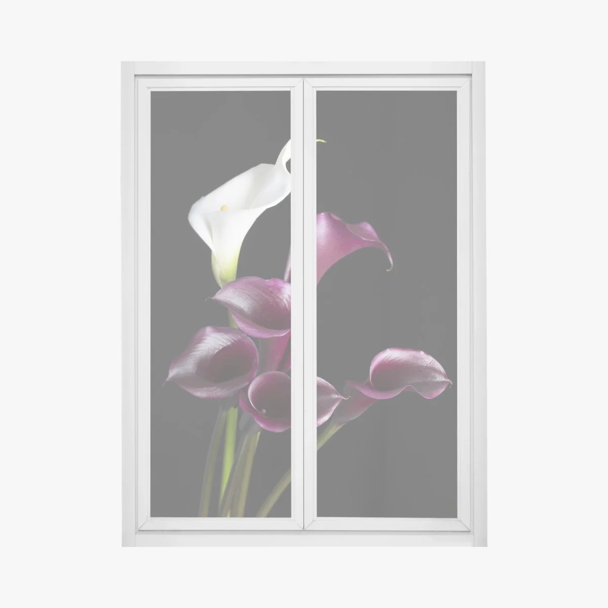 Sticker pour vitres et fenêtres composition d'arums blancs et bordeaux sur fond noir – Wallnifity® Sticker pour vitres et fenêtres composition d'arums blancs et bordeaux sur fond noir – Wallnifity®
