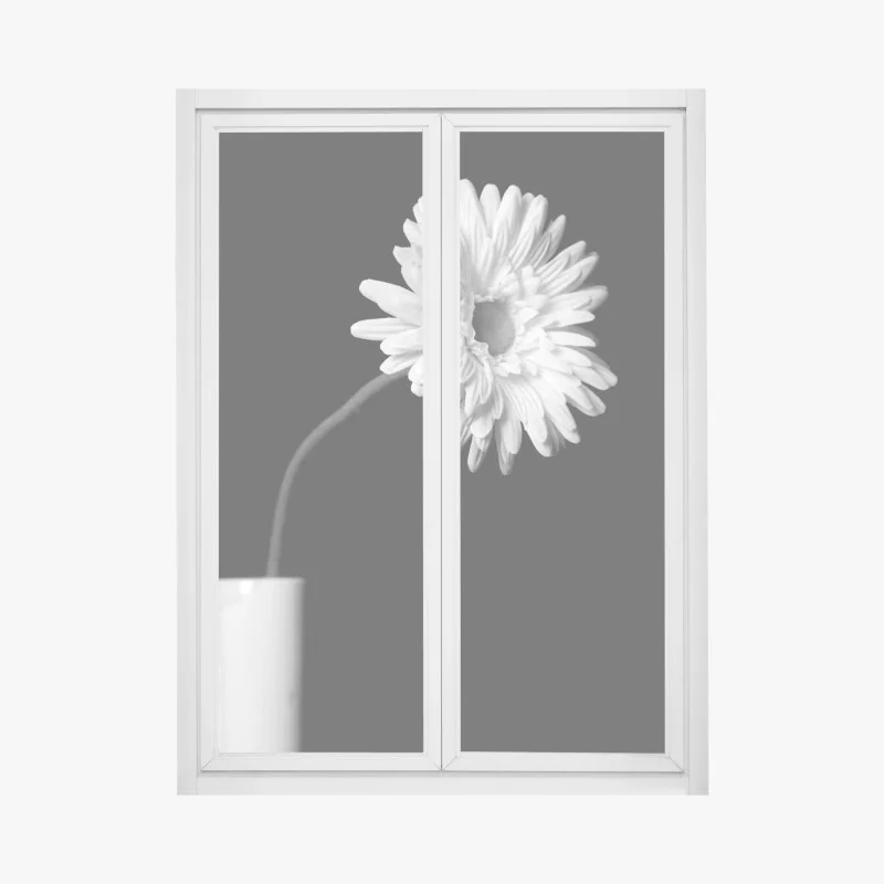 Stickers pour vitres et fenêtres – Wallnifity®